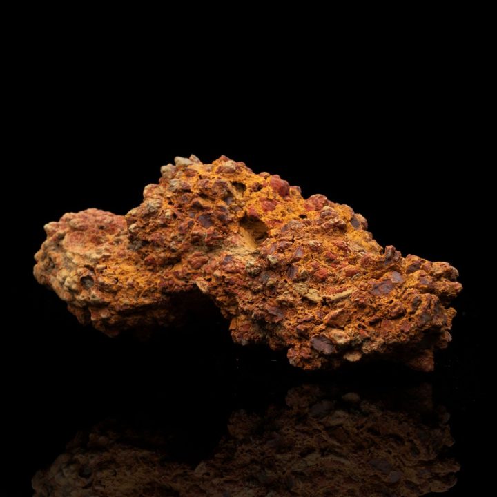 Authentic Dinosaur Coprolite Dung Fossil – 282 g