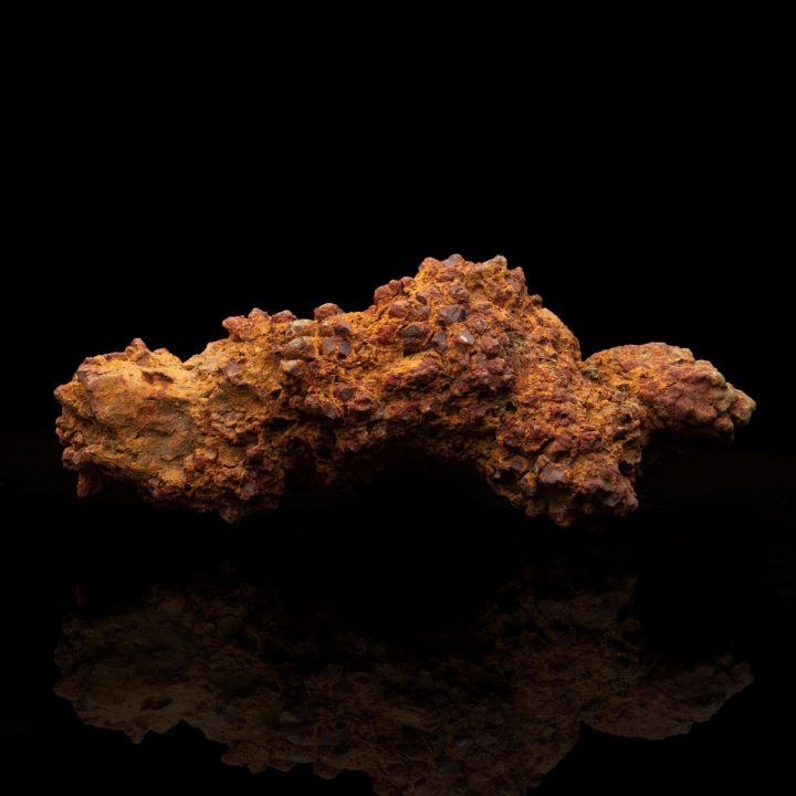 Authentic Dinosaur Coprolite Dung Fossil – 282 g