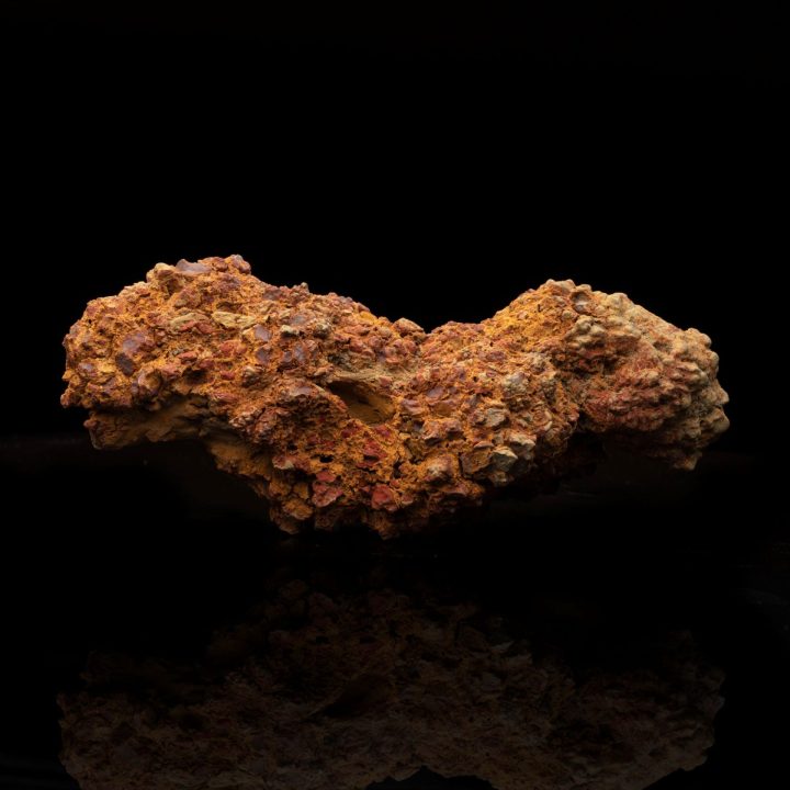 Authentic Dinosaur Coprolite Dung Fossil – 282 g