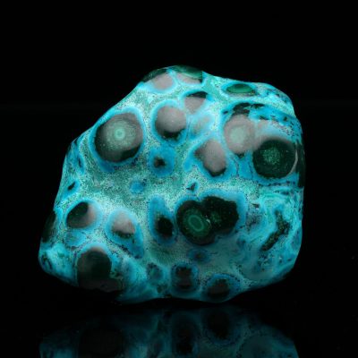 Polished Malachite with Chrysocolla from the DRC - 1.08 lb