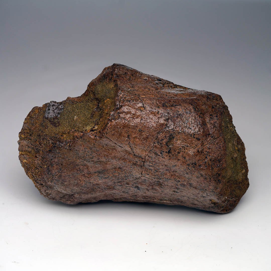 A large, reddish-brown, irregularly shaped object, possibly a fossilized dinosaur bone, with textured surfaces.