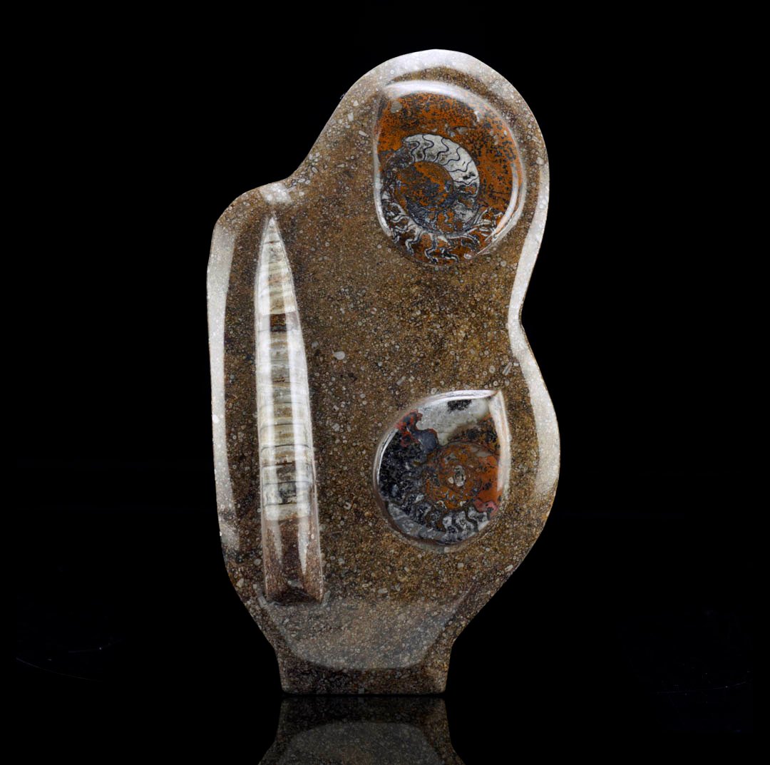 Beautiful polished fossil sculpture featuring a belemnite and two intricate ammonite shells.