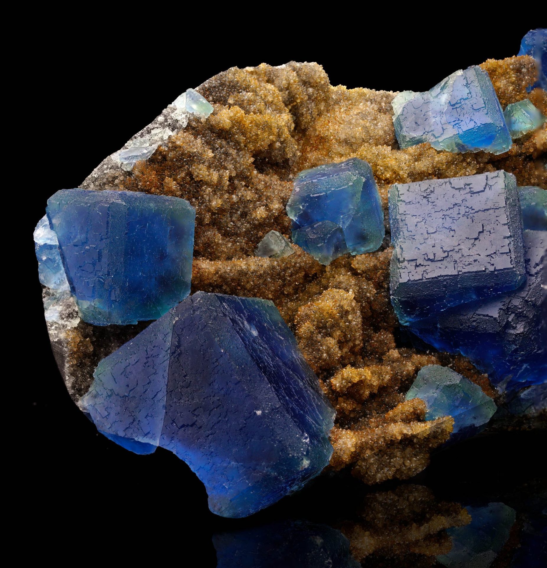 Vibrant blue fluorite crystals with cubic and octahedral forms on a brown crystalline matrix with a black background.
