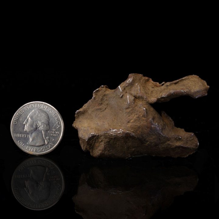 Genuine Gebel Kamil Nickel‑Iron Meteorite Fragment from Egypt – 80g