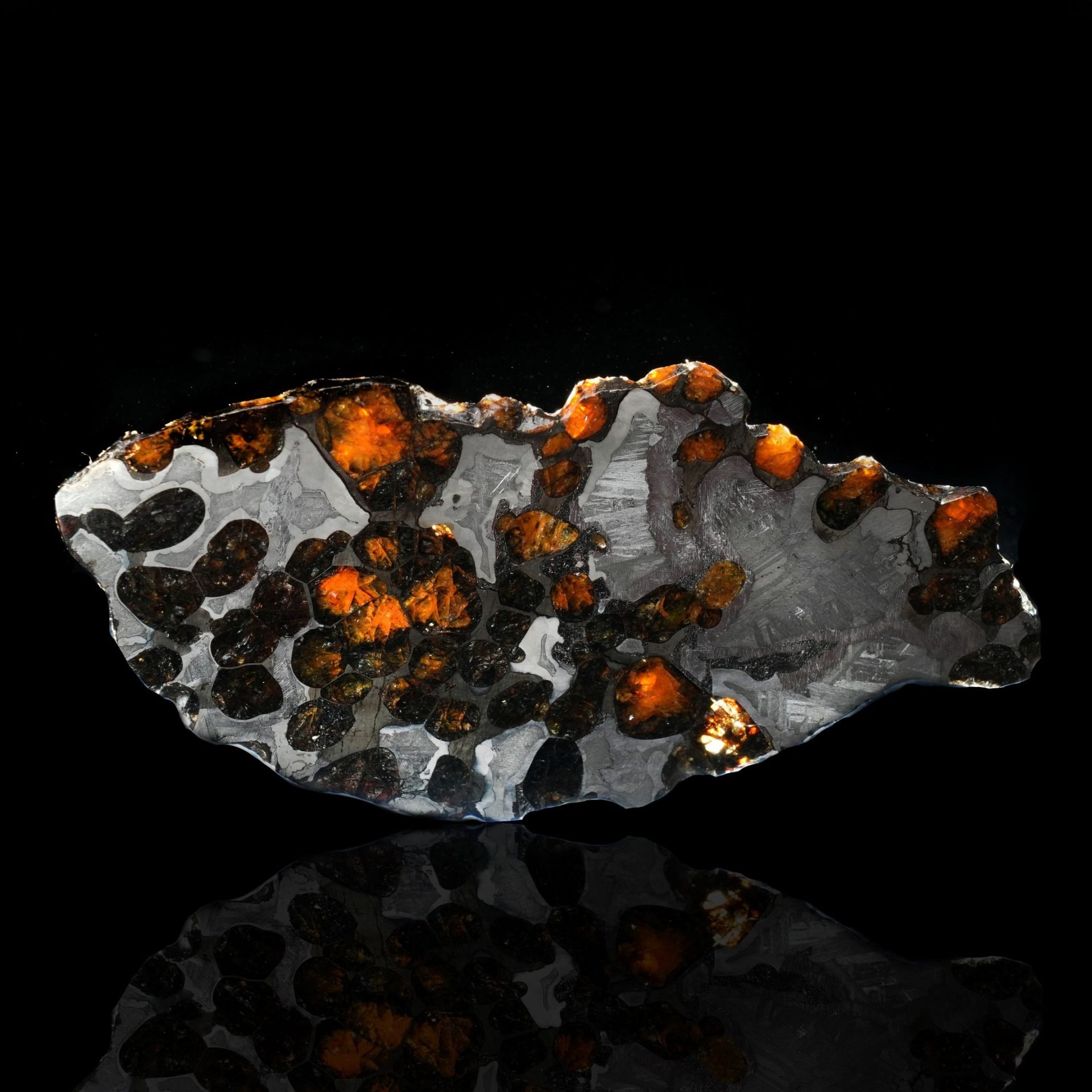 Polished slice of a pallasite meteorite displaying vibrant orange crystals embedded in a metallic matrix.