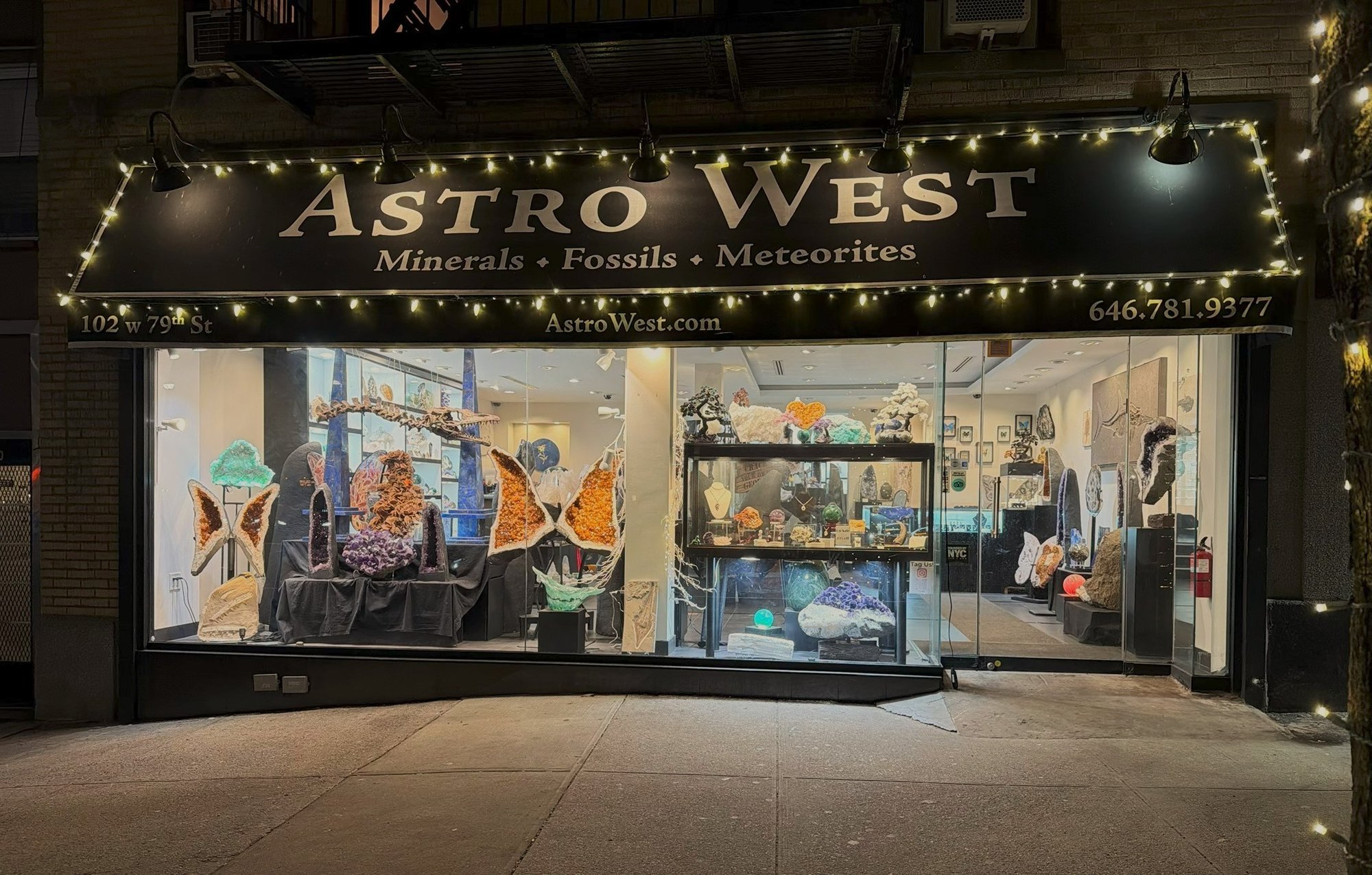 Night view of Astro West store, displaying various minerals, fossils, and meteorites in its lit windows.