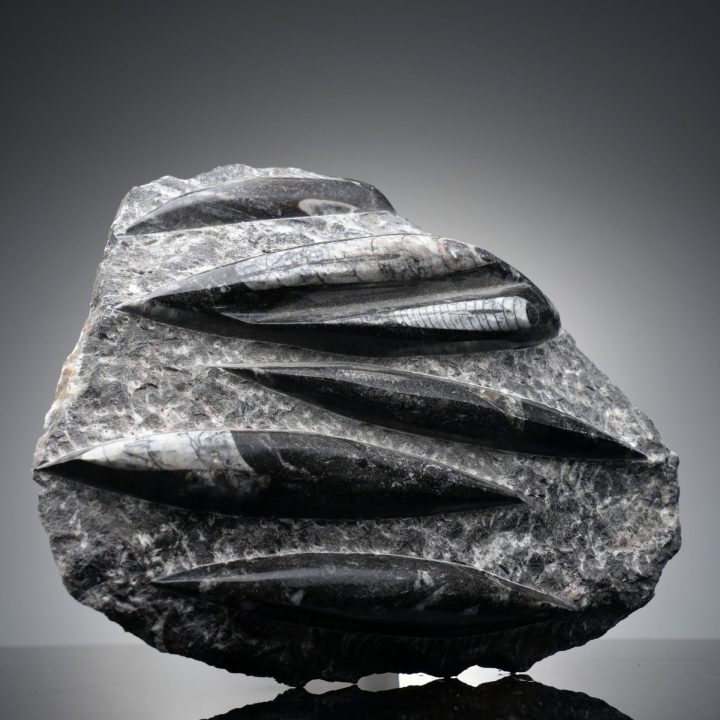 Hand Carved Genuine Belemnite and Orthoceras Fossil Sculpture