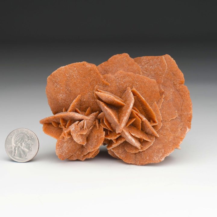 Mexican Desert Rose Selenite Sculpture | Natural Gypsum Formation