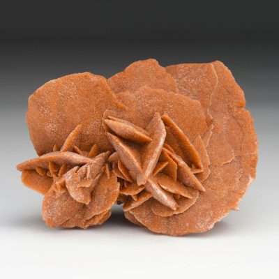 Mexican Desert Rose Selenite Sculpture | Natural Gypsum Formation