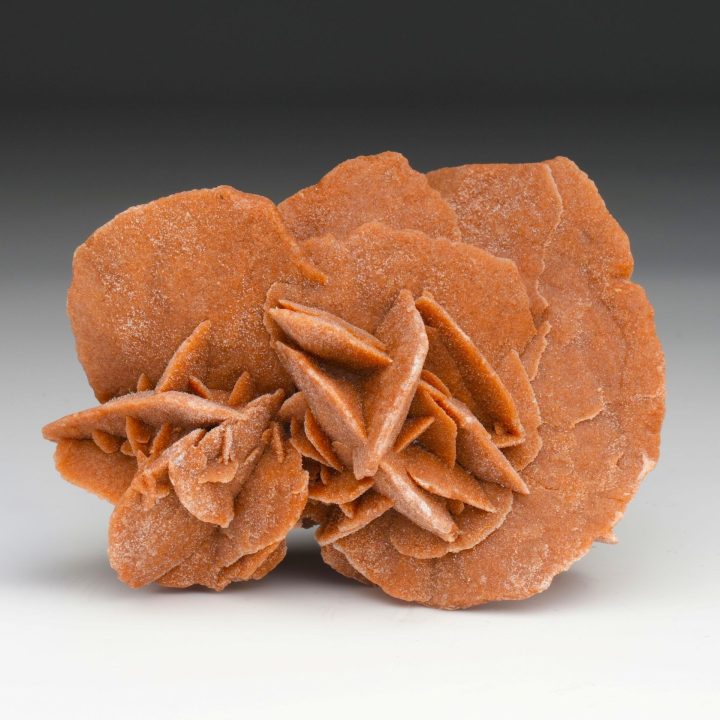 Mexican Desert Rose Selenite Sculpture | Natural Gypsum Formation