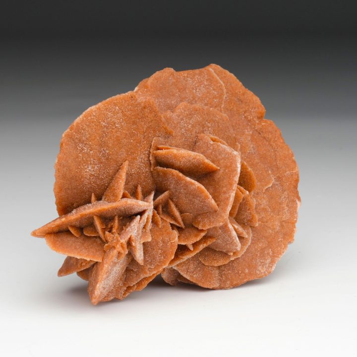 Mexican Desert Rose Selenite Sculpture | Natural Gypsum Formation