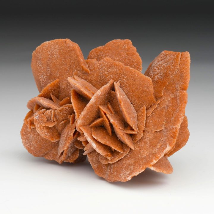 Mexican Desert Rose Selenite Sculpture | Natural Gypsum Formation