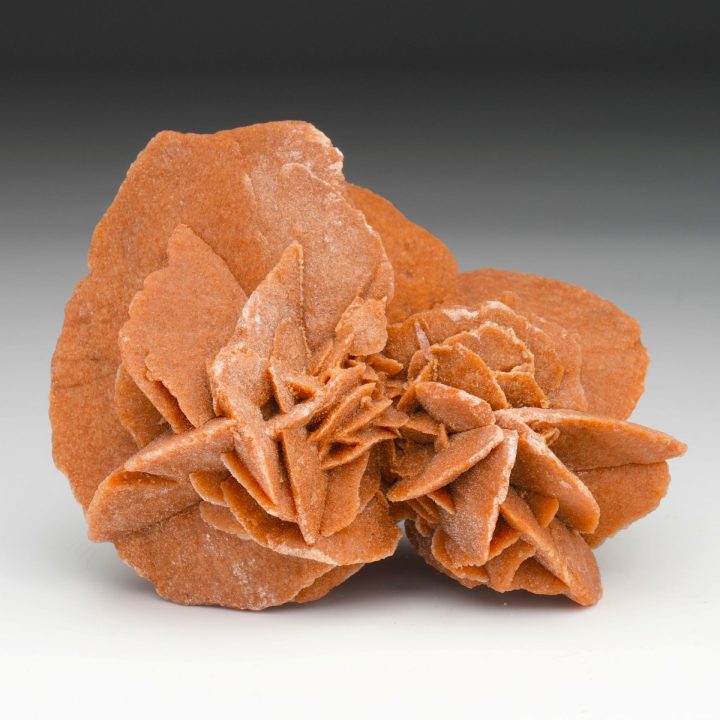 Mexican Desert Rose Selenite Sculpture | Natural Gypsum Formation