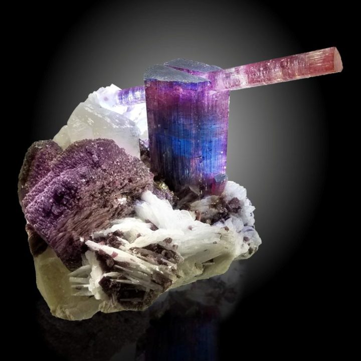 The Great Divide Tourmaline – Hall of Fame | Pederneira Mine, Brazil