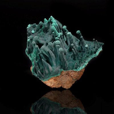 Malachite Stalactite Formation – Hall of Fame | Democratic Republic of Congo
