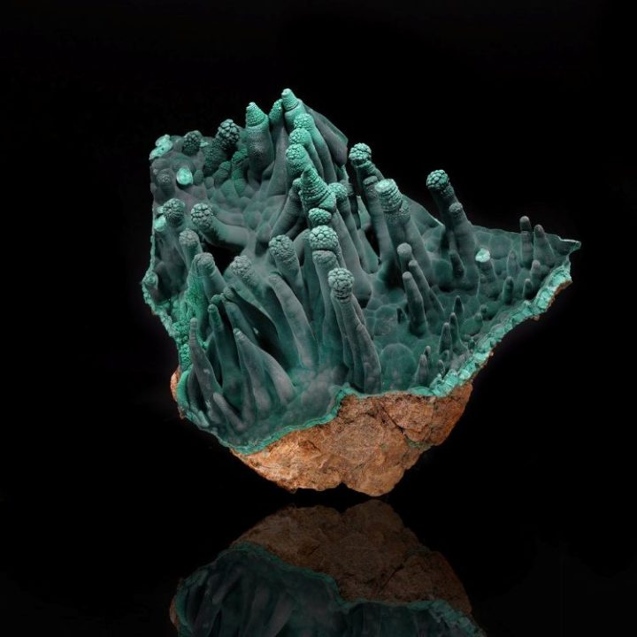 Malachite Stalactite Formation – Hall of Fame | Democratic Republic of Congo