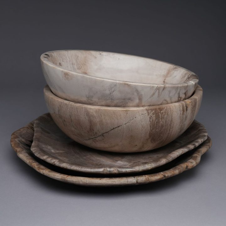 Indonesian Petrified Wood Bowls/Plates 4 Piece Set | Exclusive One of a Kind