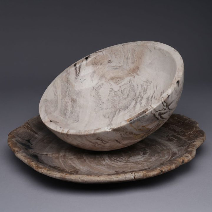 Indonesian Petrified Wood Bowls/Plates 4 Piece Set | Exclusive One of a Kind