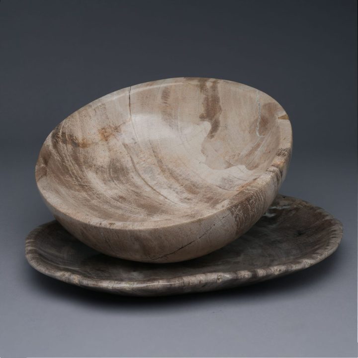 Indonesian Petrified Wood Bowls/Plates 4 Piece Set | Exclusive One of a Kind