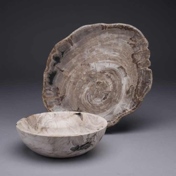 Indonesian Petrified Wood Bowls/Plates 4 Piece Set | Exclusive One of a Kind