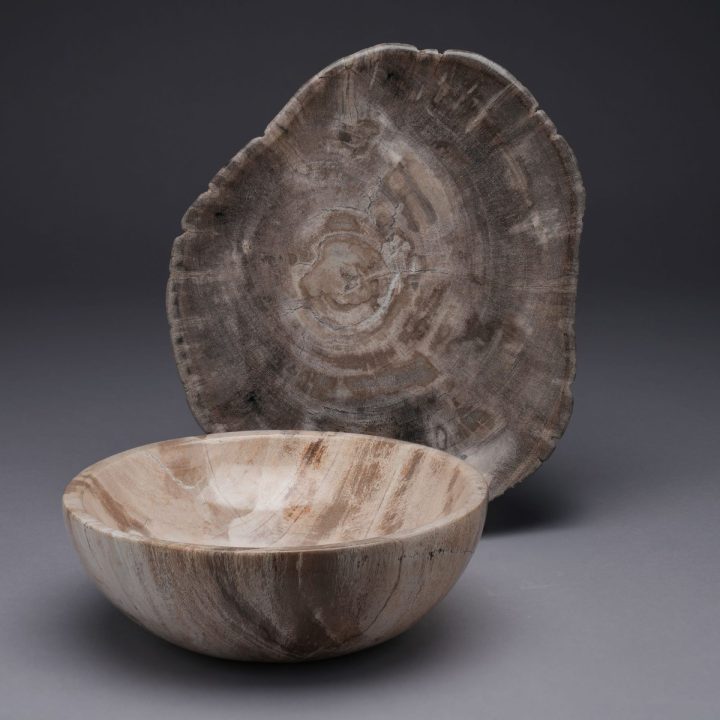 Indonesian Petrified Wood Bowls/Plates 4 Piece Set | Exclusive One of a Kind