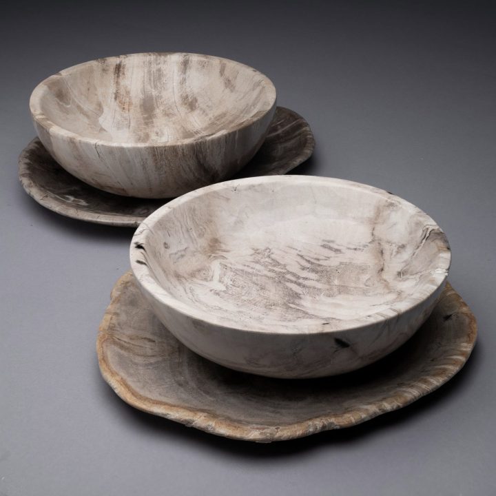 Indonesian Petrified Wood Bowls/Plates 4 Piece Set | Exclusive One of a Kind