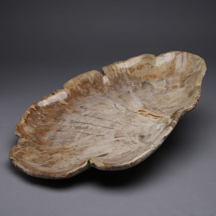 Large Indonesian Petrified Wood Tray | One of a Kind Display Piece