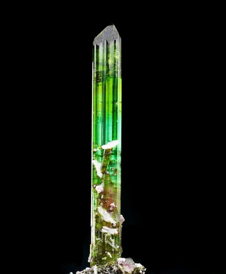 Tourmaline on Quartz from the Pederneira Mine, Brazil - Museum-Grade Specimen