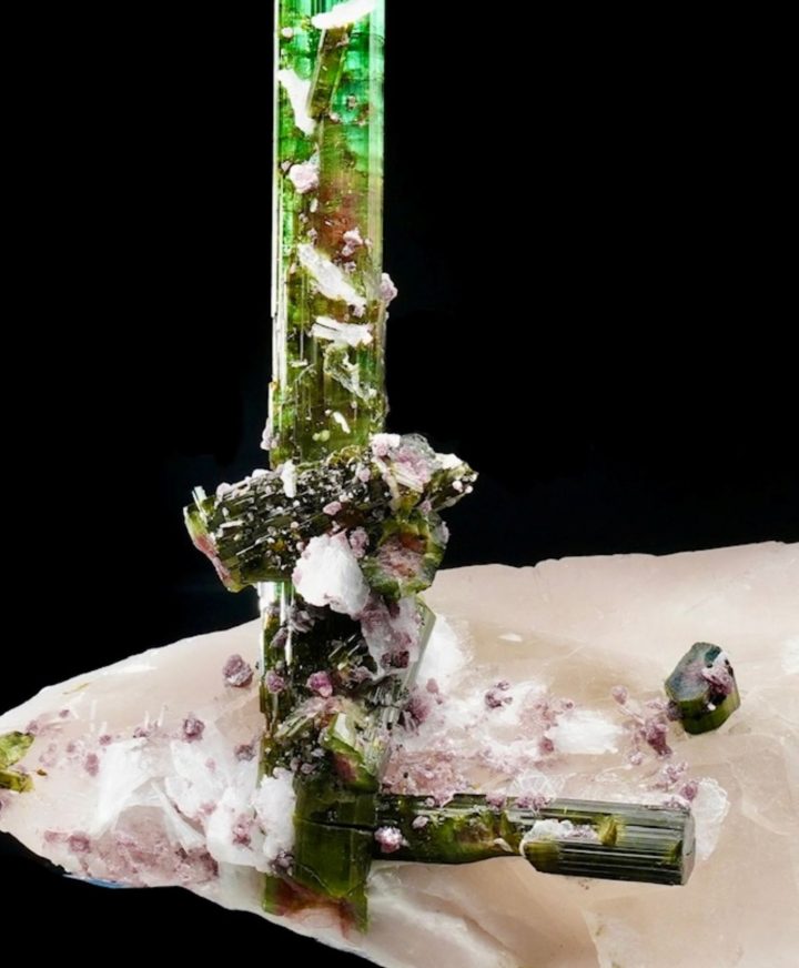 Tourmaline on Quartz from the Pederneira Mine, Brazil - Museum-Grade Specimen