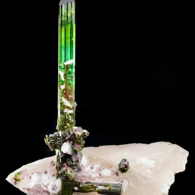 Tourmaline on Quartz from the Pederneira Mine, Brazil - Museum-Grade Specimen