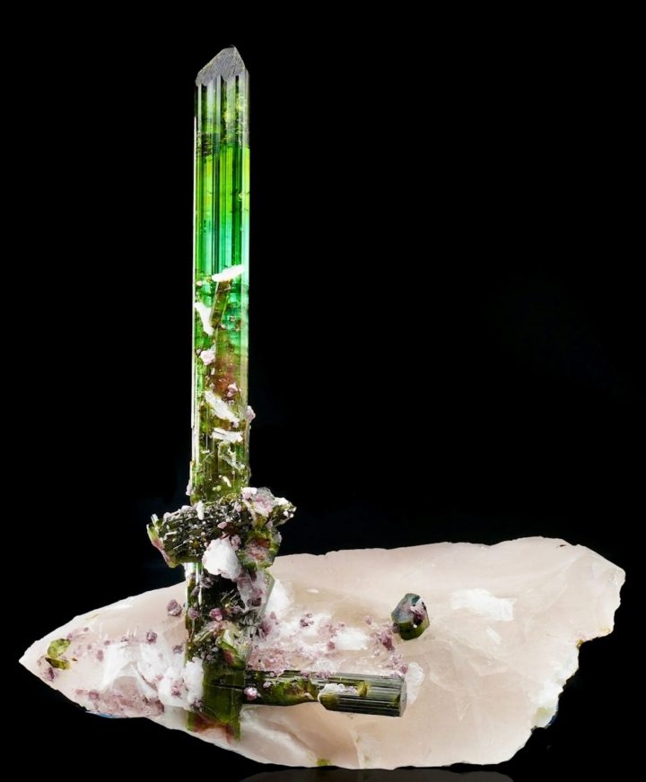 Tourmaline on Quartz from the Pederneira Mine, Brazil - Museum-Grade Specimen