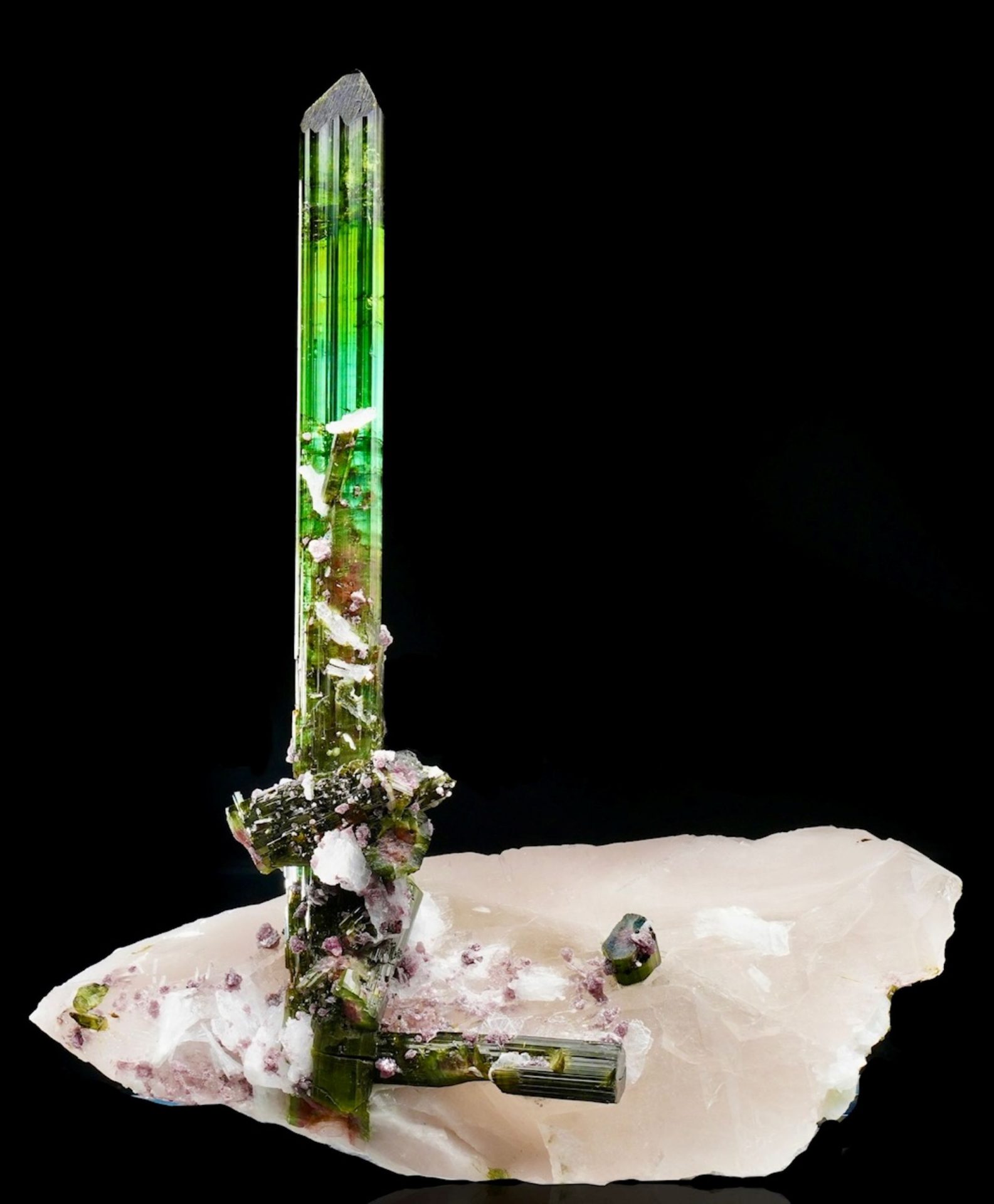 Tourmaline on Quartz from the Pederneira Mine, Brazil - Museum-Grade Specimen