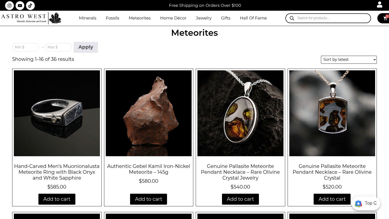 Screenshot from https://astrowest.com/collections/meteorites